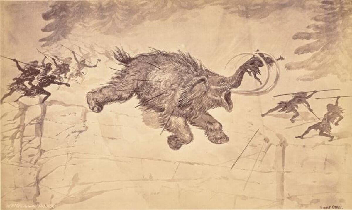 Hunting the woolly mammoth